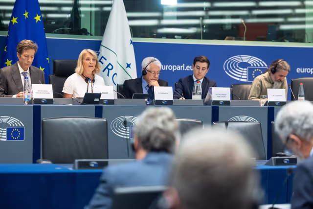 Fotagrafa 27: Delegation for relations with Mercosur (DMER) meeting