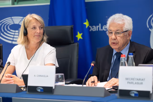 Fotagrafa 21: Delegation for relations with Mercosur (DMER) meeting