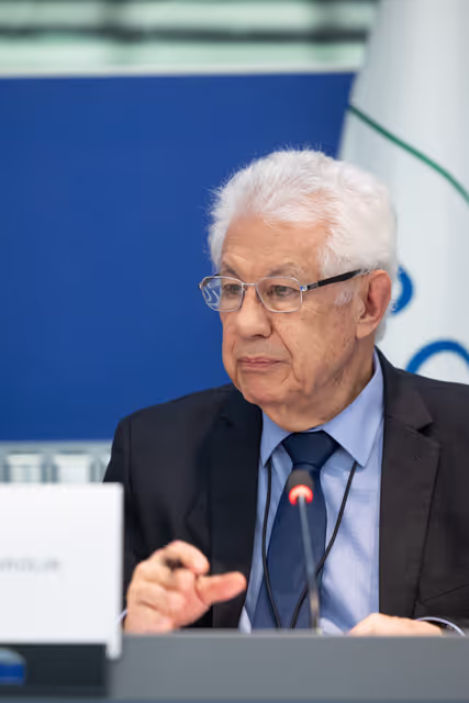 Fotagrafa 24: Delegation for relations with Mercosur (DMER) meeting