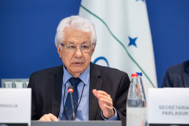 Fotagrafa 23: Delegation for relations with Mercosur (DMER) meeting