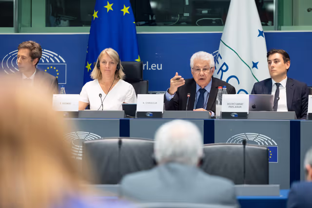 Fotagrafa 18: Delegation for relations with Mercosur (DMER) meeting