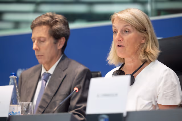 Fotagrafa 17: Delegation for relations with Mercosur (DMER) meeting