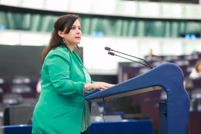 Valokuva 25: EP Plenary session - Stopping the genocide in Gaza: time for EU sanctions