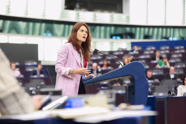 Valokuva 24: EP Plenary session - Stopping the genocide in Gaza: time for EU sanctions