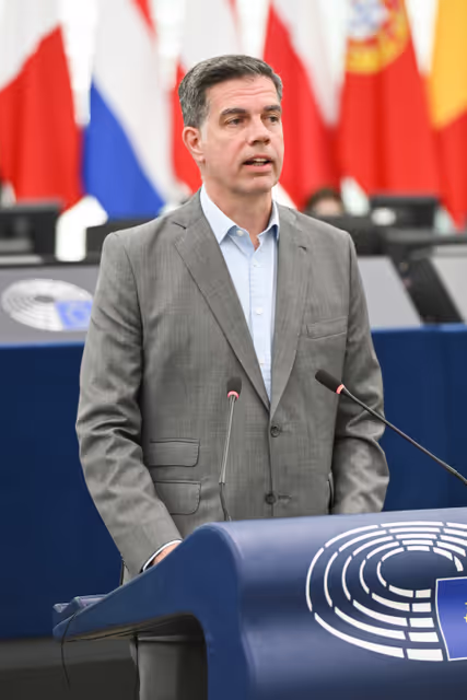 EP Plenary session - Electricity grids: the backbone of the EU energy system