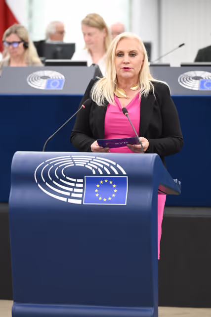 Fotagrafa 8: EP Plenary session - Electricity grids: the backbone of the EU energy system