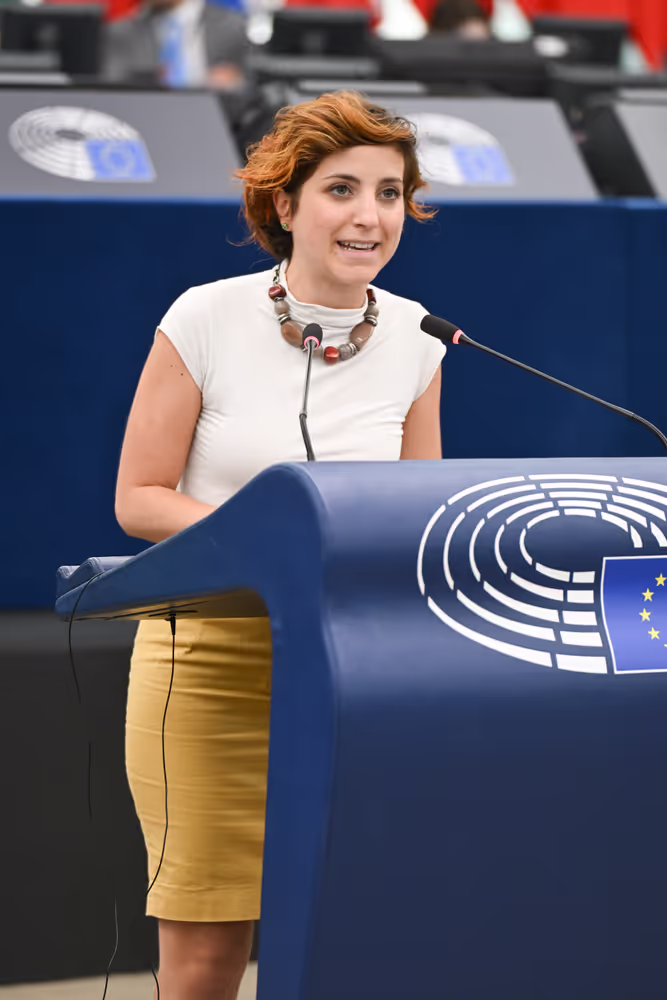 EP Plenary session - Electricity grids: the backbone of the EU energy system