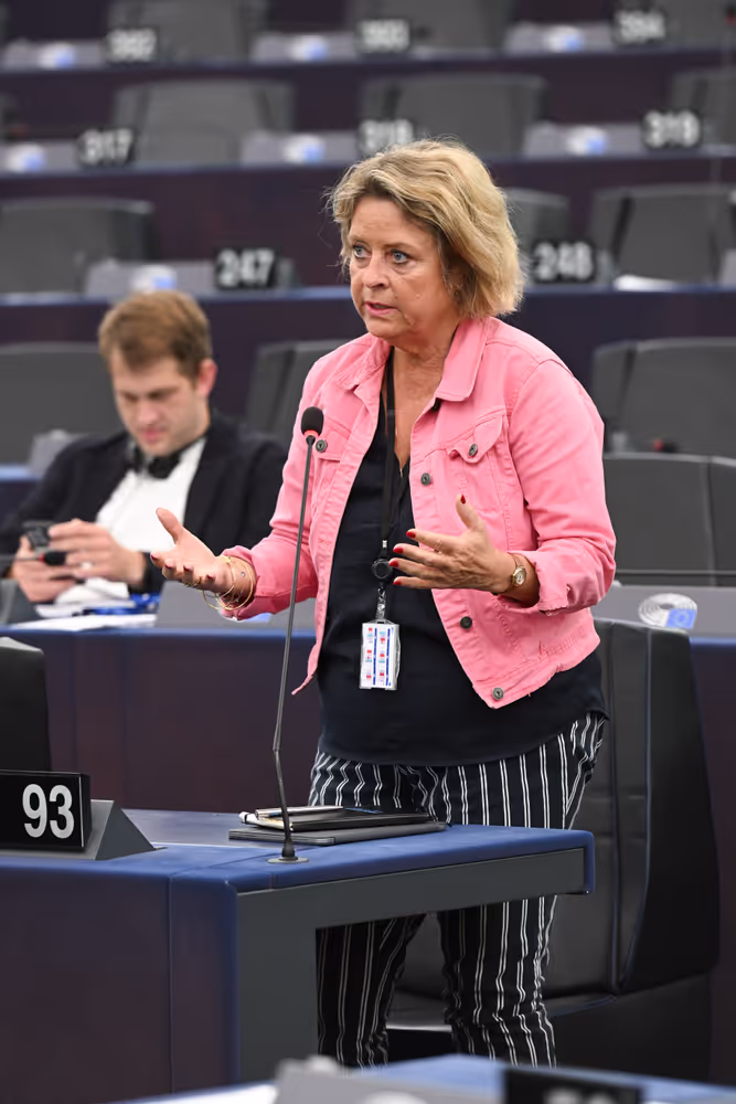 EP Plenary session - Electricity grids: the backbone of the EU energy system