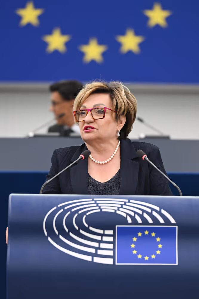 EP Plenary session - Electricity grids: the backbone of the EU energy system