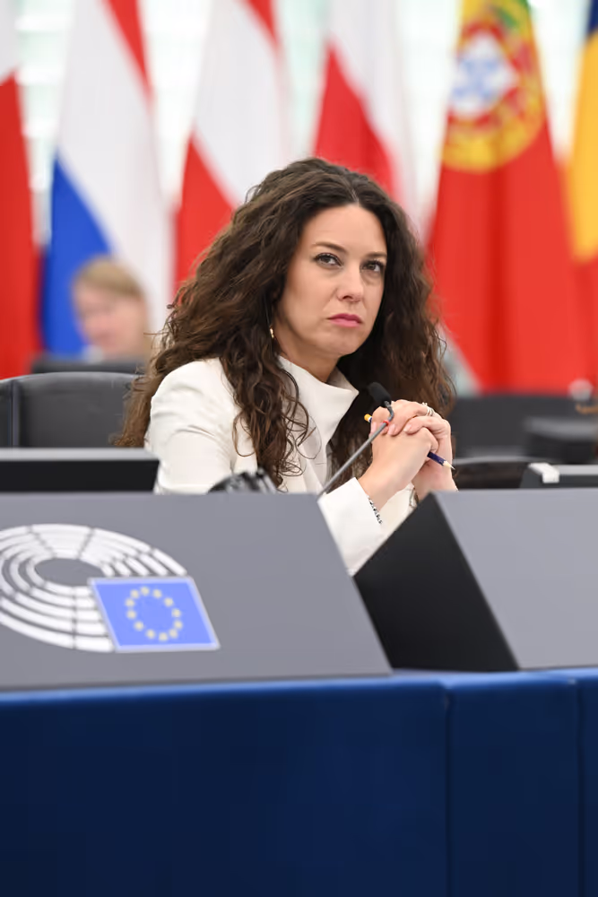 EP Plenary session - Electricity grids: the backbone of the EU energy system