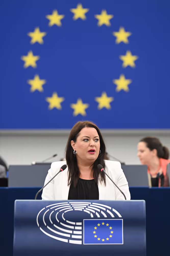 EP Plenary session - Electricity grids: the backbone of the EU energy system