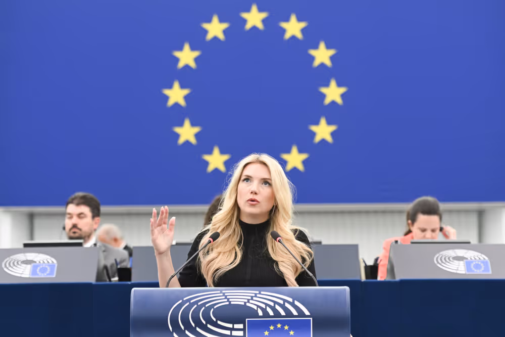 EP Plenary session - Electricity grids: the backbone of the EU energy system