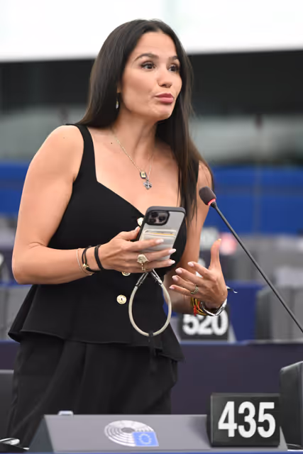 Fotografi 19: EP Plenary session - Electricity grids: the backbone of the EU energy system