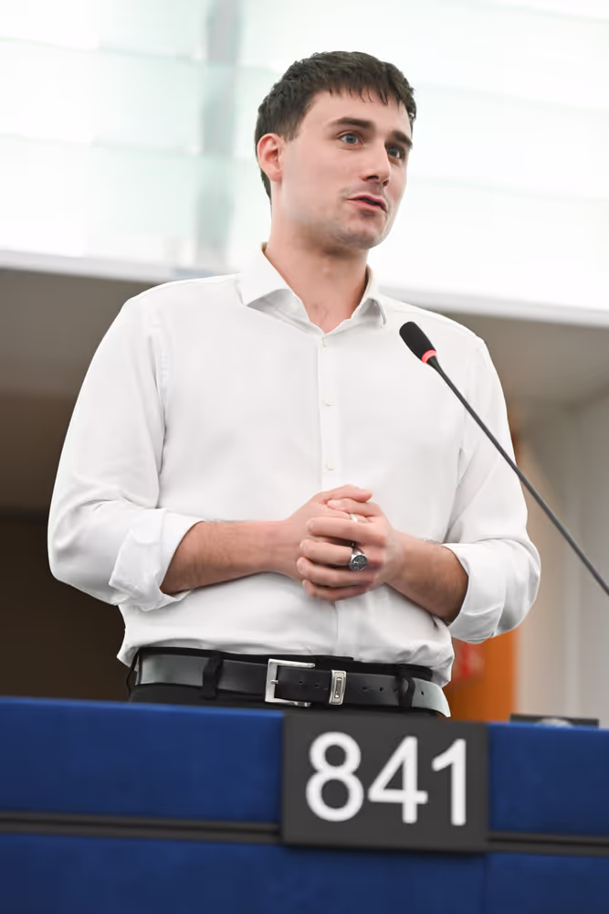 EP Plenary session - Electricity grids: the backbone of the EU energy system