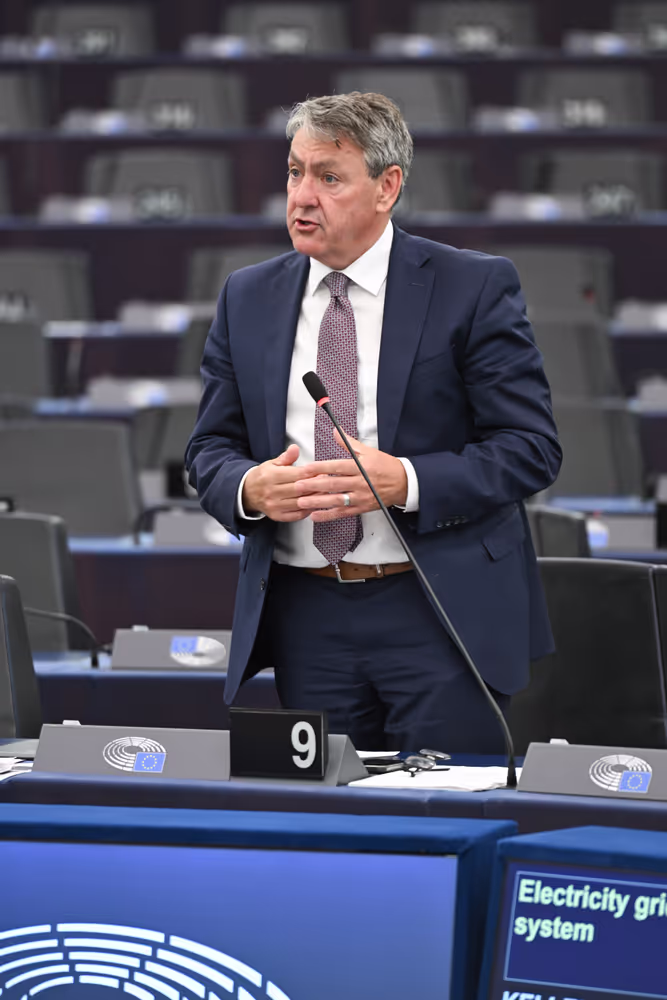 EP Plenary session - Electricity grids: the backbone of the EU energy system