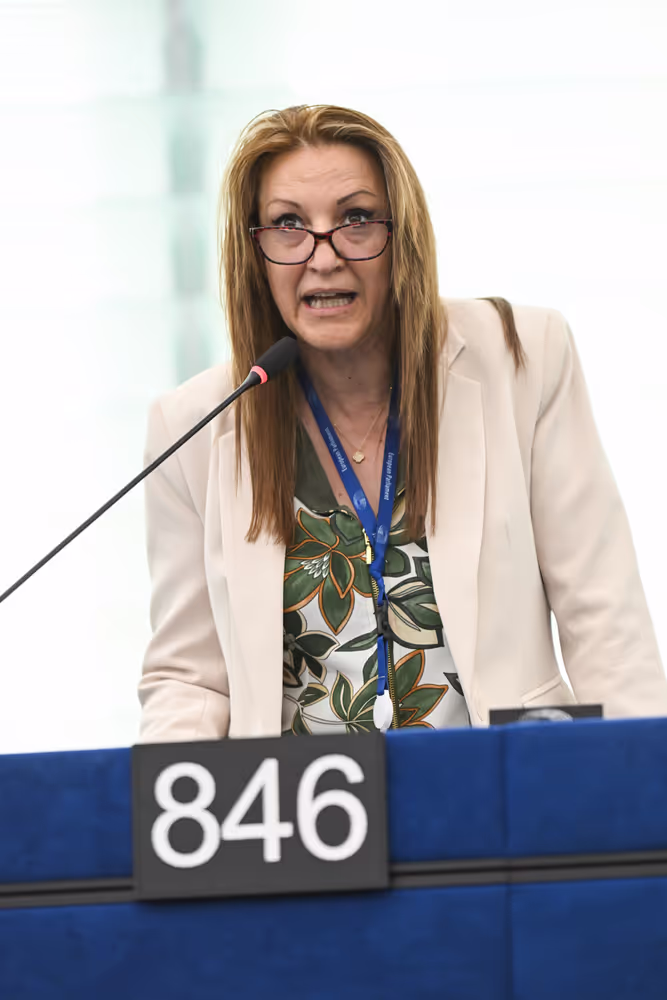 EP Plenary session - Electricity grids: the backbone of the EU energy system