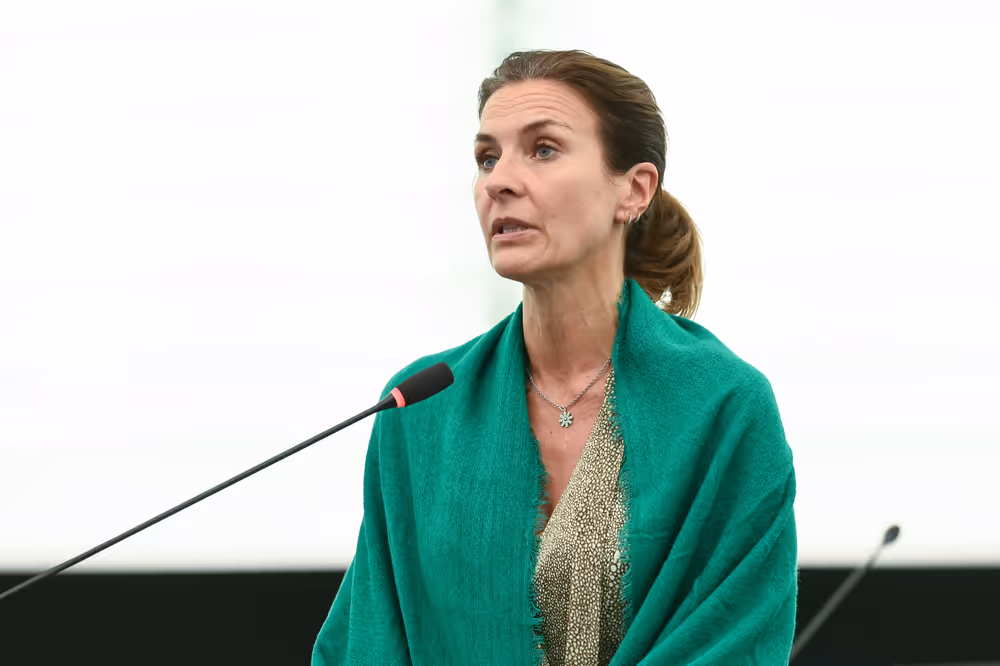 EP Plenary session - Rise in violence and the deepening humanitarian crisis in South Sudan