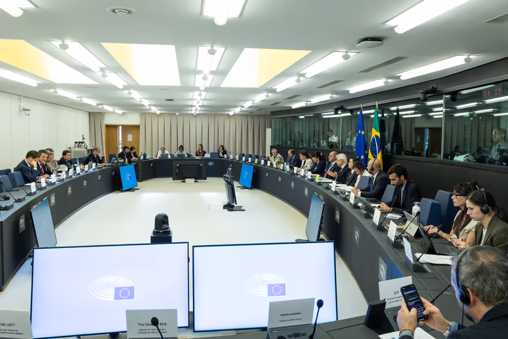 D-BR Interparliamentary Meeting