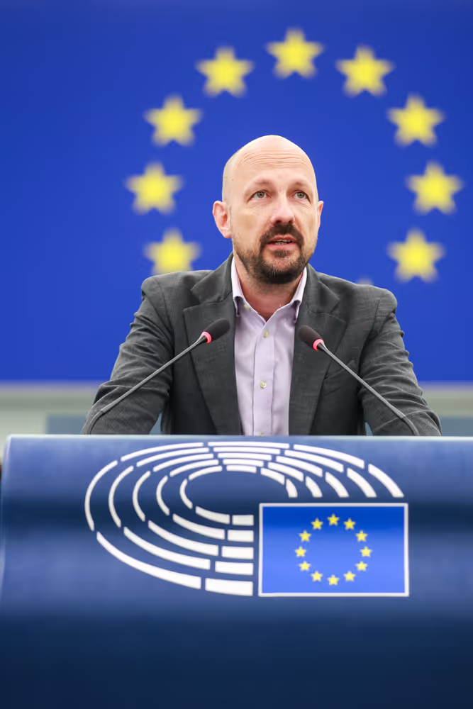 EP Plenary session - Institutional and political implications of the EU enlargement process and global challenges