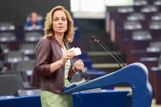 Fotografija 13: EP Plenary session - Institutional and political implications of the EU enlargement process and global challenges