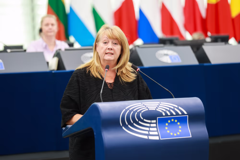 EP Plenary session - Institutional and political implications of the EU enlargement process and global challenges