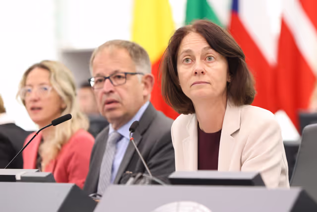 Снимка 21: EP Plenary session - Voting session