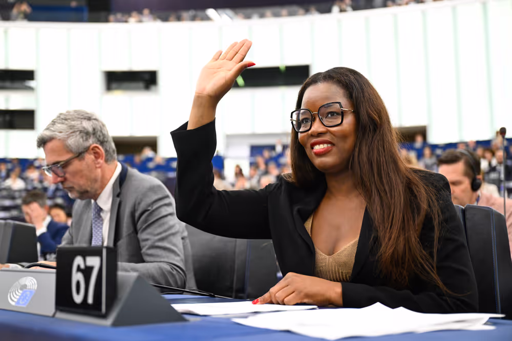 EP Plenary session - Voting session