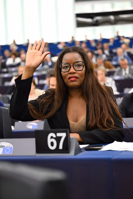 Снимка 6: EP Plenary session - Voting session