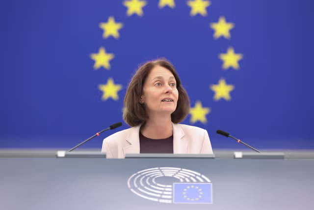 Billede 24: EP Plenary session - Protecting bees: advancing the EU's New Deal for Pollinators