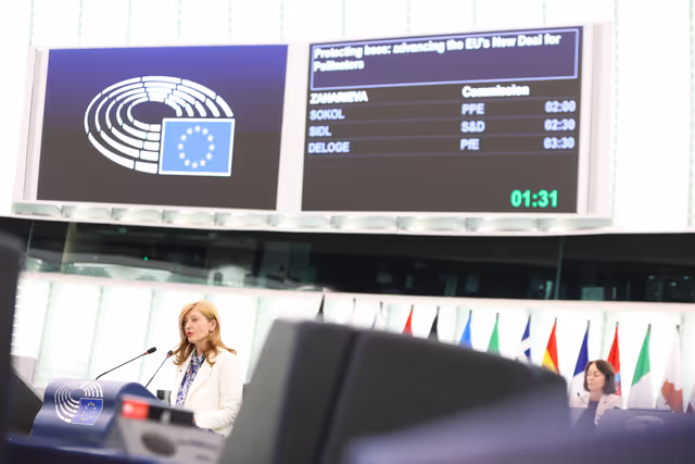 EP Plenary session - Protecting bees: advancing the EU's New Deal for Pollinators