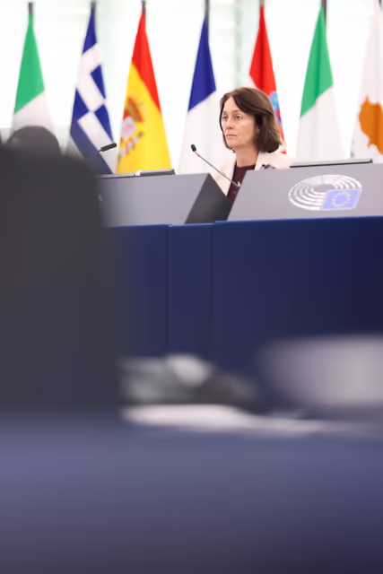 Billede 20: EP Plenary session - Protecting bees: advancing the EU's New Deal for Pollinators