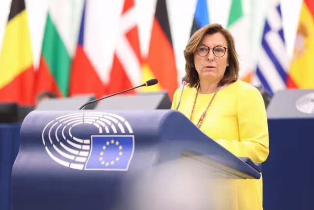 Billede 11: EP Plenary session - Protecting bees: advancing the EU's New Deal for Pollinators