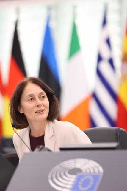 Billede 7: EP Plenary session - Protecting bees: advancing the EU's New Deal for Pollinators