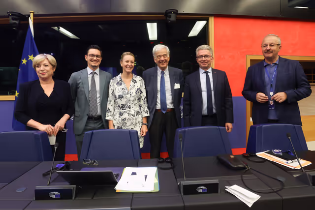 Demography Intergroup meeting - Demographic Winter in Europe, Diagnosis and Solutions