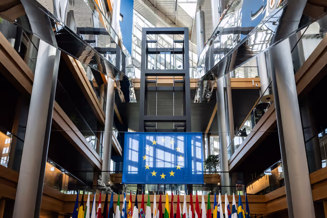 Fotó 11: Strasbourg's Plenary session through the lens. Week 25.