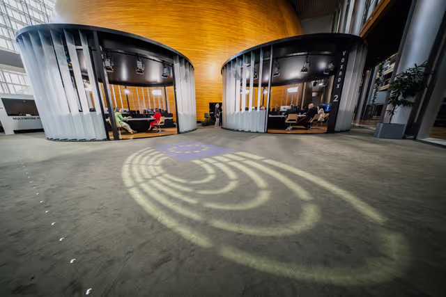 Fotó 15: Strasbourg's Plenary session through the lens. Week 25.