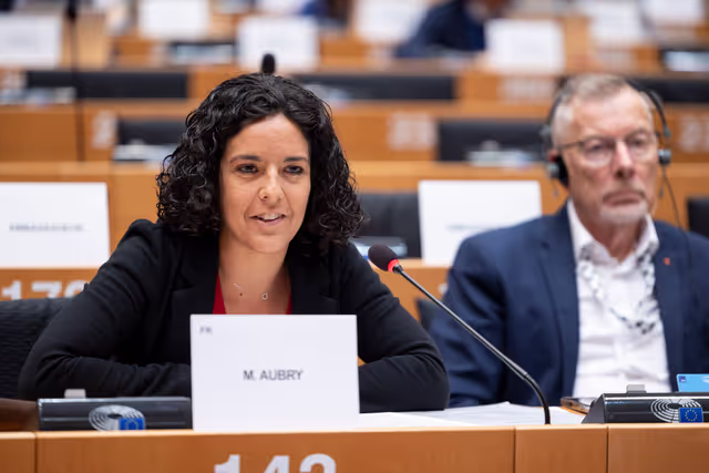 INTA - Exchange of views with Stéphane Séjourné, Commission's Executive Vice-President for Prosperity and Industrial Strategy, on the trade dimension of the Union industrial strategy, in particular on the Clean Industrial Deal