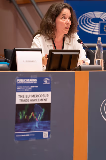 Foto 37: INTA committee meeting - Public hearing on the EU-Mercosur Trade Agreement