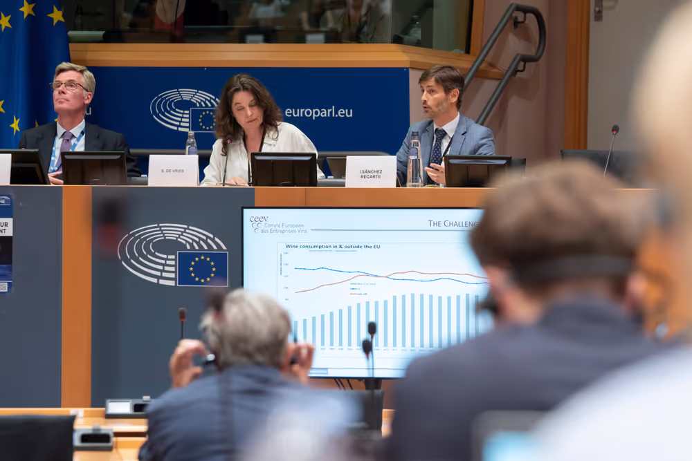 INTA committee meeting - Public hearing on the EU-Mercosur Trade Agreement
