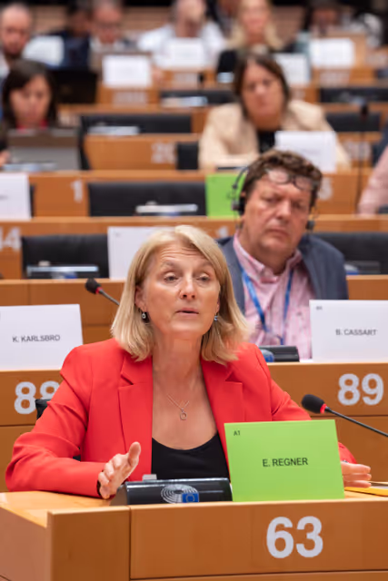 Foto 9: INTA committee meeting - Public hearing on the EU-Mercosur Trade Agreement