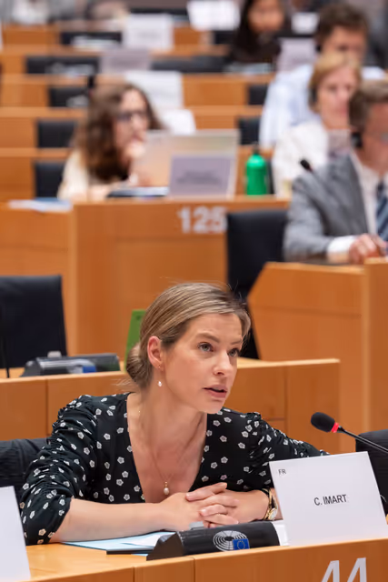 Foto 4: INTA committee meeting - Public hearing on the EU-Mercosur Trade Agreement