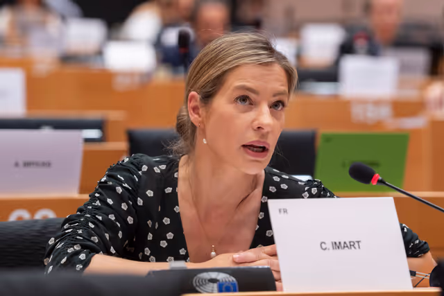 Foto 2: INTA committee meeting - Public hearing on the EU-Mercosur Trade Agreement