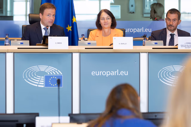 Fotogrāfija 44: AFCO Interparliamentary Committee Meeting -EU Reform With a View to Future