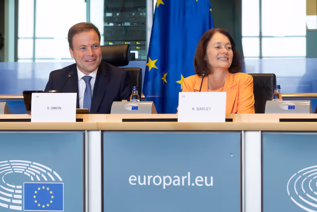 Fotogrāfija 37: AFCO Interparliamentary Committee Meeting -EU Reform With a View to Future