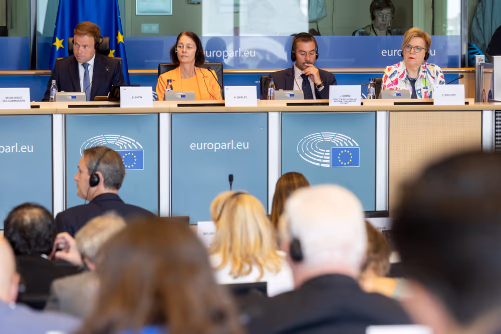 AFCO Interparliamentary Committee Meeting -EU Reform With a View to Future