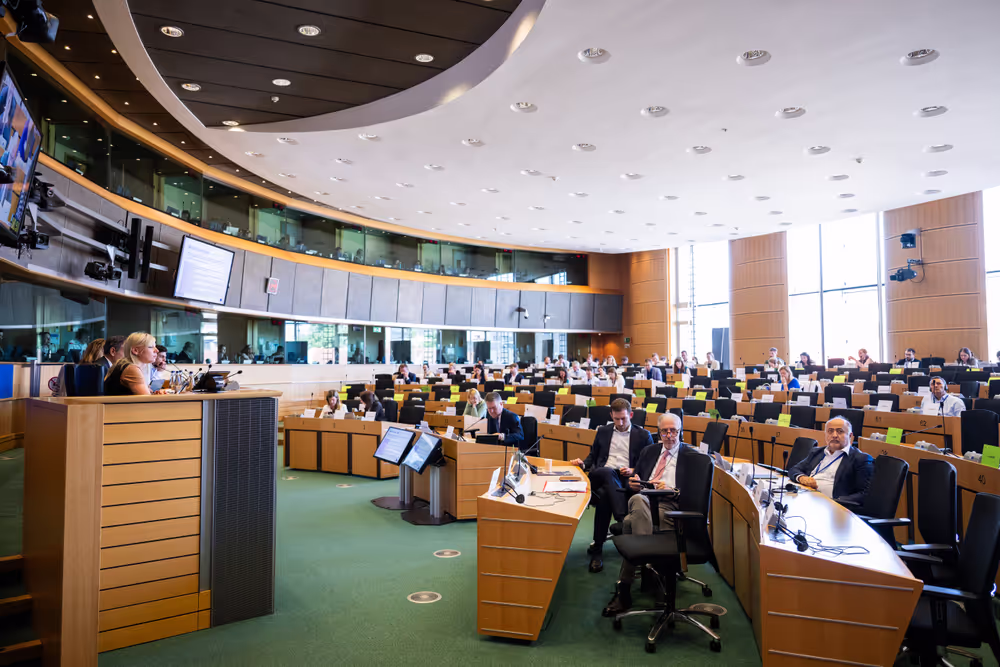 IMCO public hearing ' Single Market Strategy '