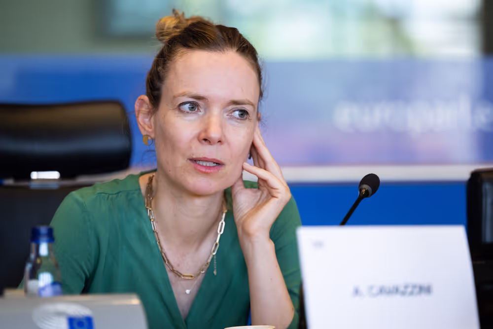 IMCO public hearing ' Single Market Strategy '