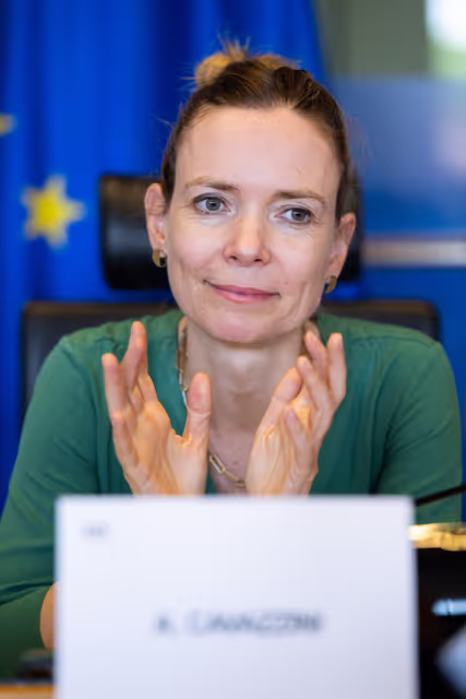 Nuotrauka 20: IMCO public hearing ' Single Market Strategy '