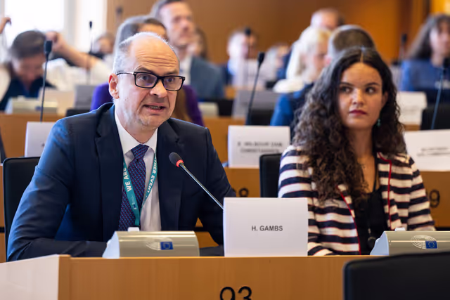 Nuotrauka 19: IMCO public hearing ' Single Market Strategy '