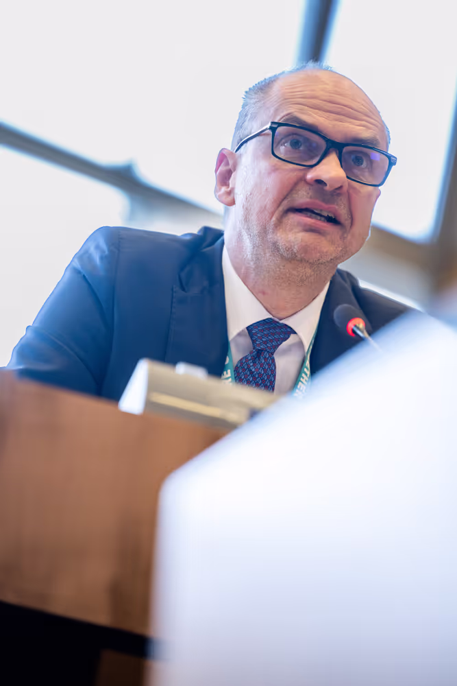 IMCO public hearing ' Single Market Strategy '